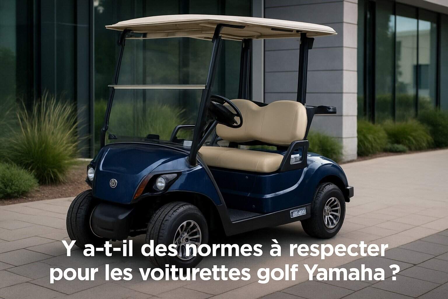 Central image illustrating the article